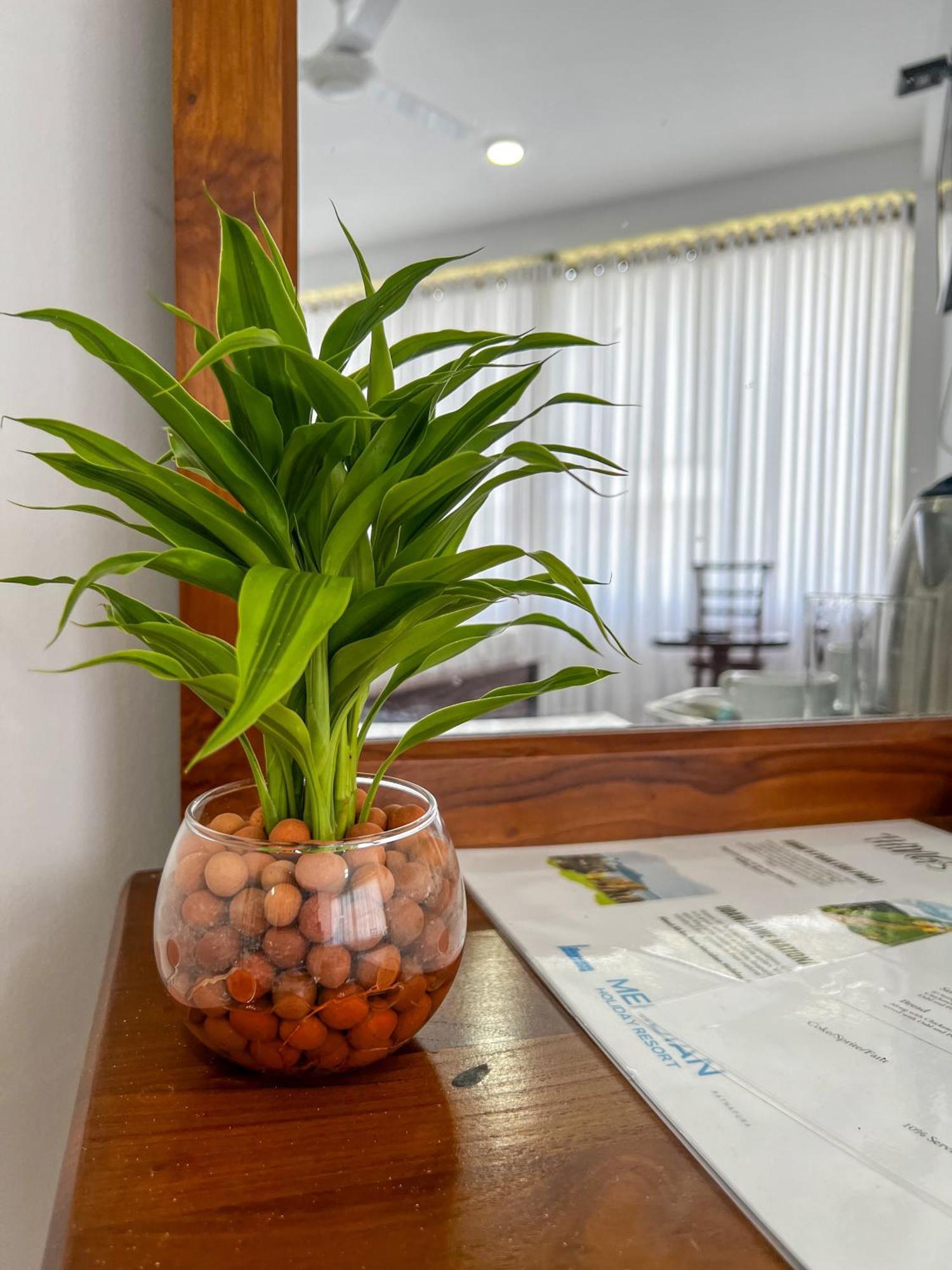 Meridian Holiday Resort Ratnapura Kültér fotó