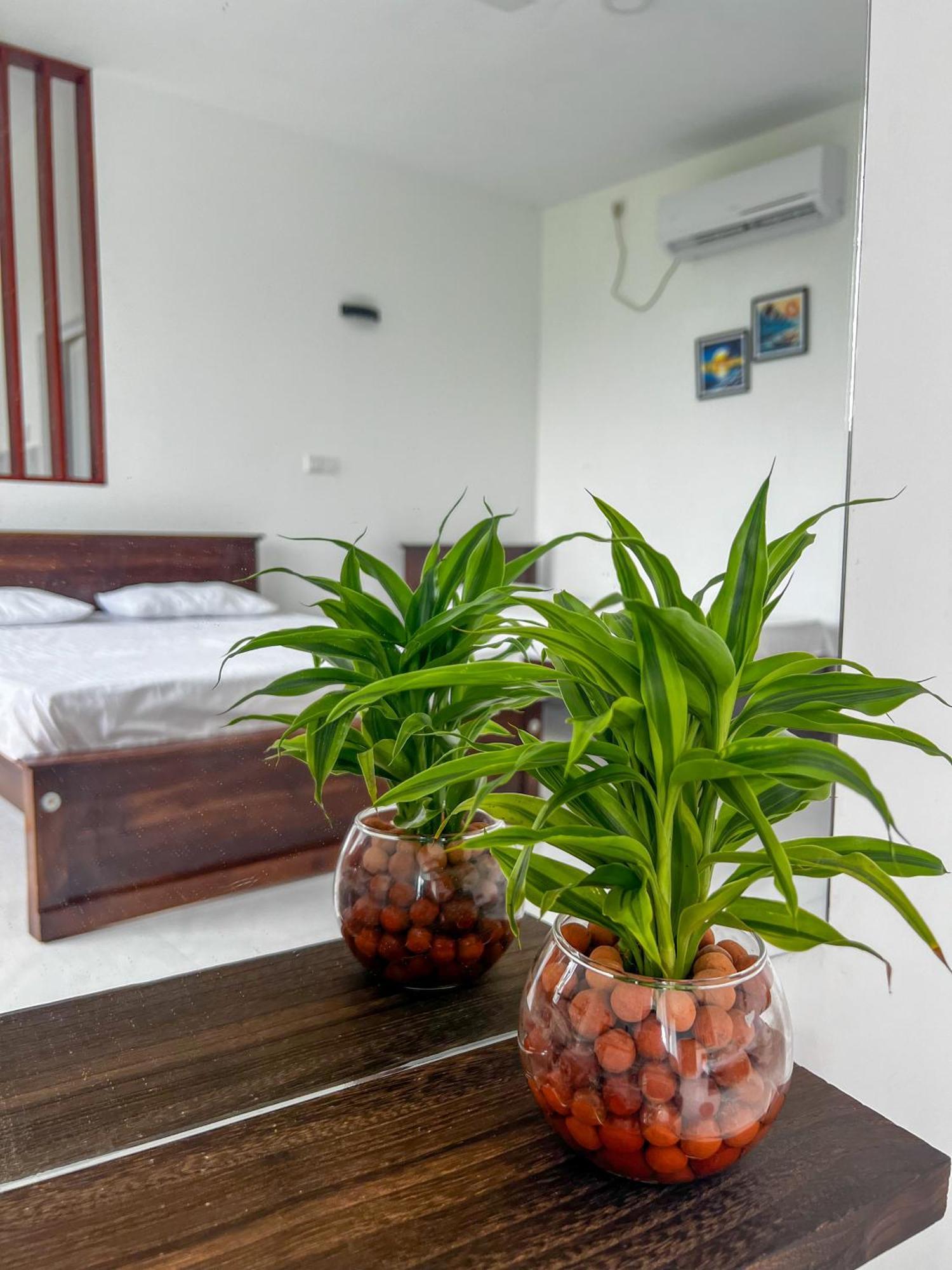 Meridian Holiday Resort Ratnapura Kültér fotó